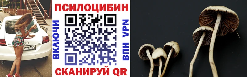 Псилоцибиновые грибы мицелий  продажа наркотиков  блэк спрут ссылка  Ростов-на-Дону 
