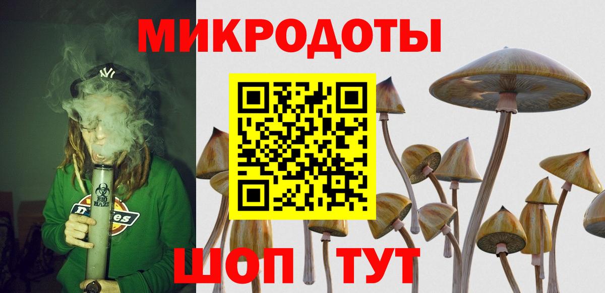 Псилоцибиновые грибы ЛСД  Псилоцибиновые грибы Cubensis  Вход с VPN  Ростов-на-Дону 